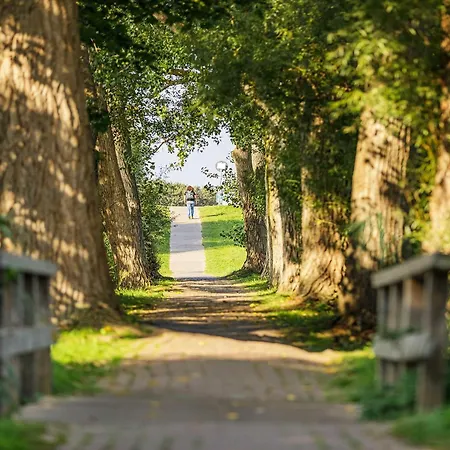 Daire 5 Sterne Seesinn