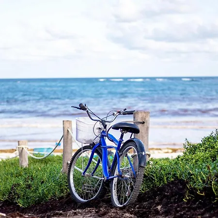 5 Sterne Seesinn * Wustrow (Fischland)