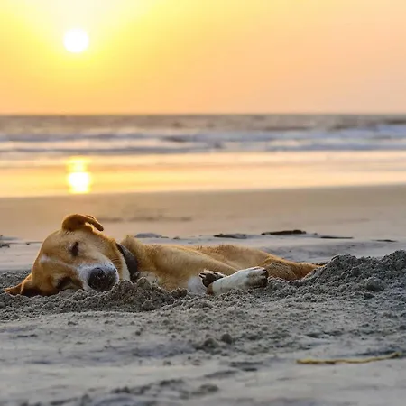 5 Sterne Seesinn Daire